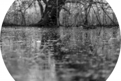 surrounded by greenery and biodiversity