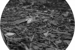 recharge in secluded gardens