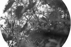 a place where you can live life to the full